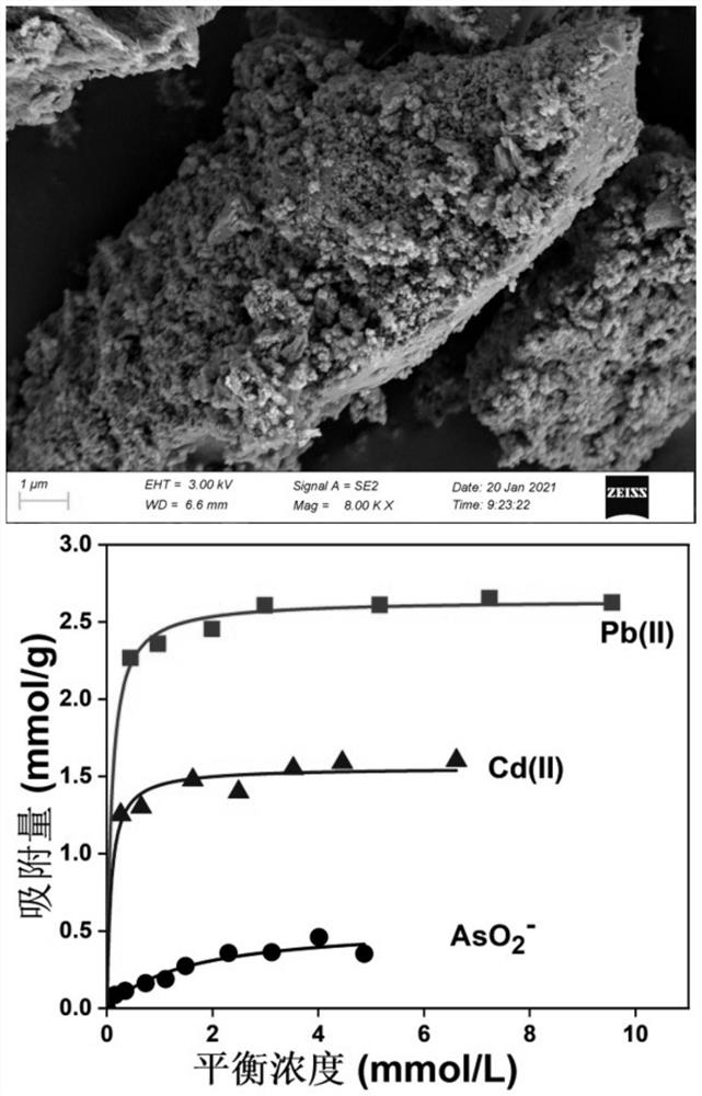 Ferrihydrite@bone black material for synchronously fixing anion and cation heavy metal ions