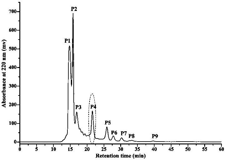 Sesame polypeptide and extracting method and application thereof in preparation of drugs for resisting oxidization and/or reducing blood pressure