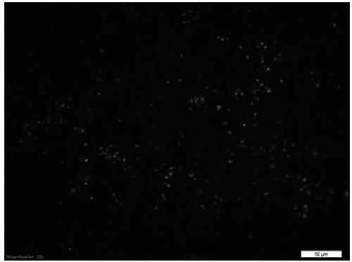 A stachydrine derivative, its preparation method and its application in the preparation of medicines for treating cardiovascular and cerebrovascular diseases