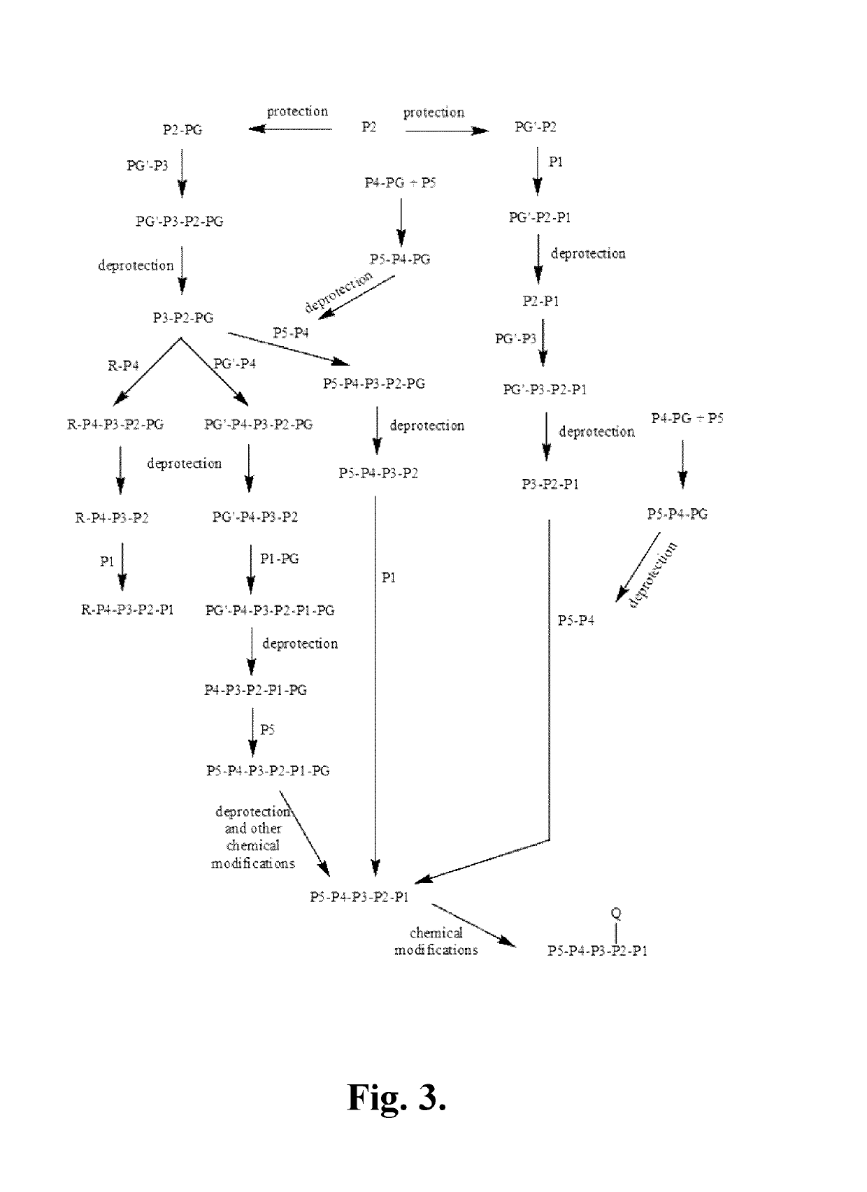 Azaindoline compounds as granzyme B inhibitors