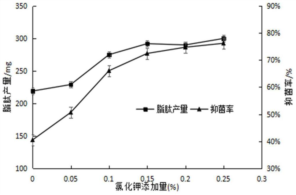 Antimicrobial peptide-containing feed prepared based on solid-state fermentation of bacillus, and preparation process and fermentation strain of feed