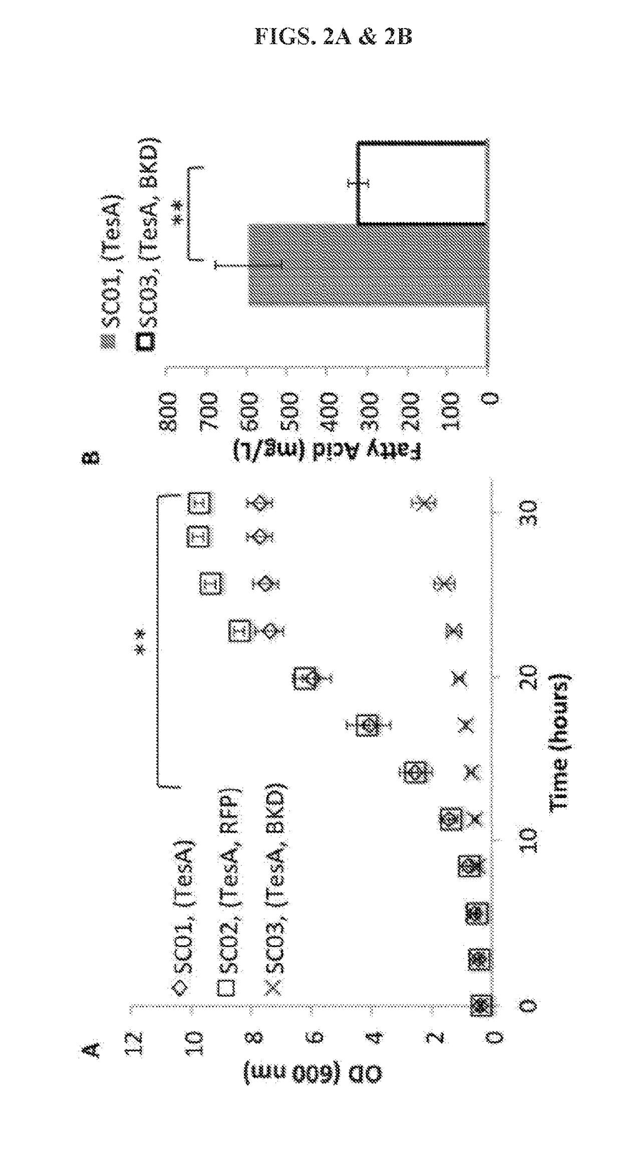 Host cells and methods for producing fatty acid-derivatives with high branched-chain percentage