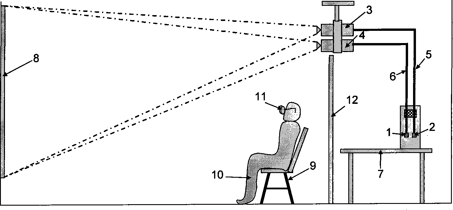 Stereovision training system and method