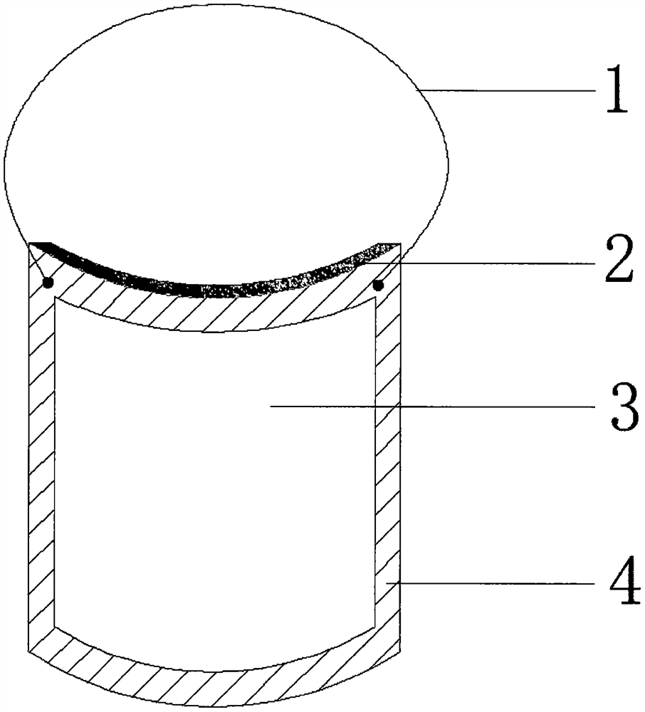 Medical protective face shield