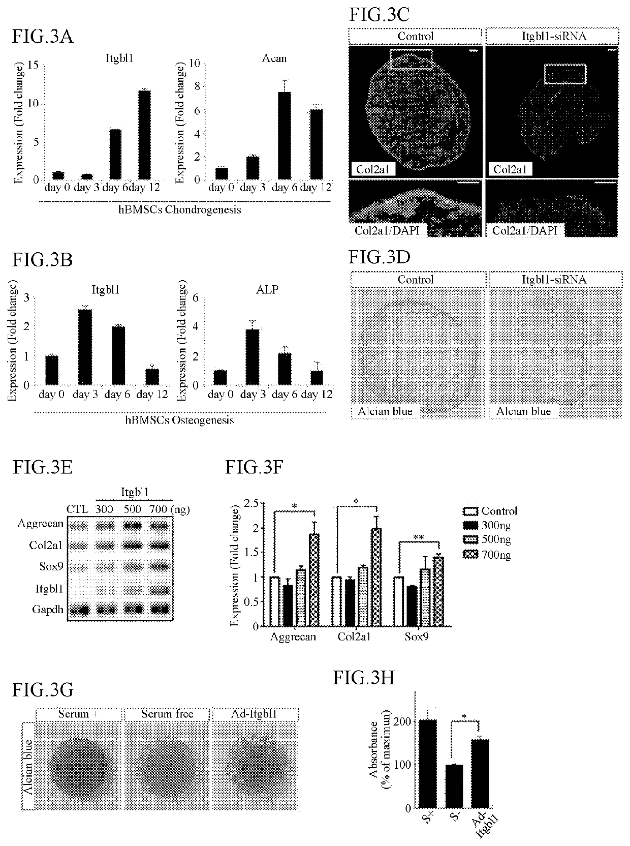 Pharmaceutical composition for preventing or treating cartilage diseases