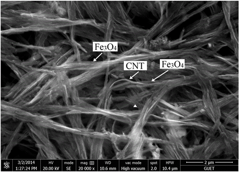 Composite material by using carbon nano-tube as core and ferriferrous oxide as shell and preparation method thereof