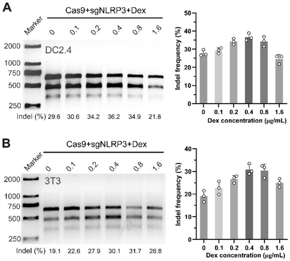 A gene-edited microneedle for the treatment of inflammatory skin diseases and its application