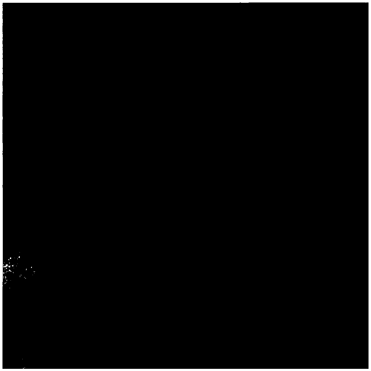 Preparation method of animal model with chronic atrophic gastritis