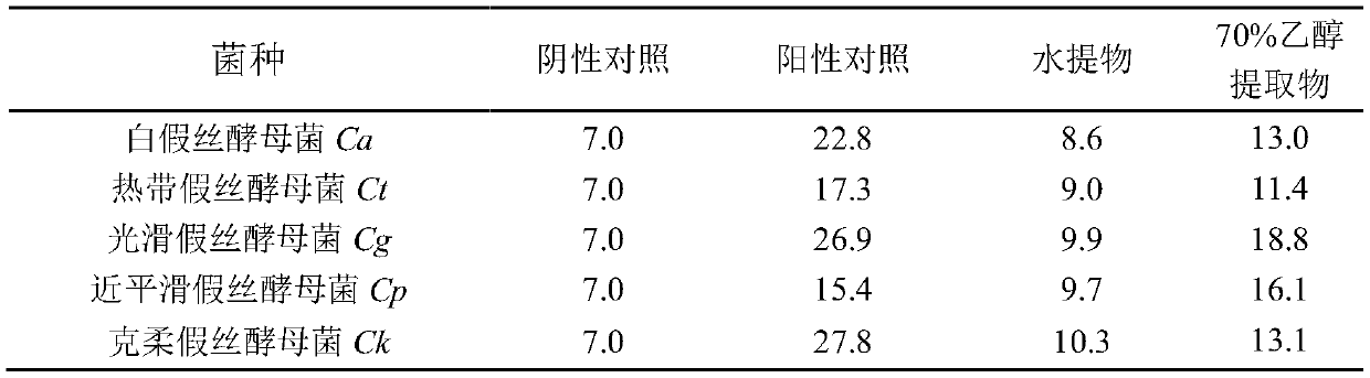 Preparation method of melastoma penicillatum extract, bacteriostatic operation method and application of melastoma penicillatum extract