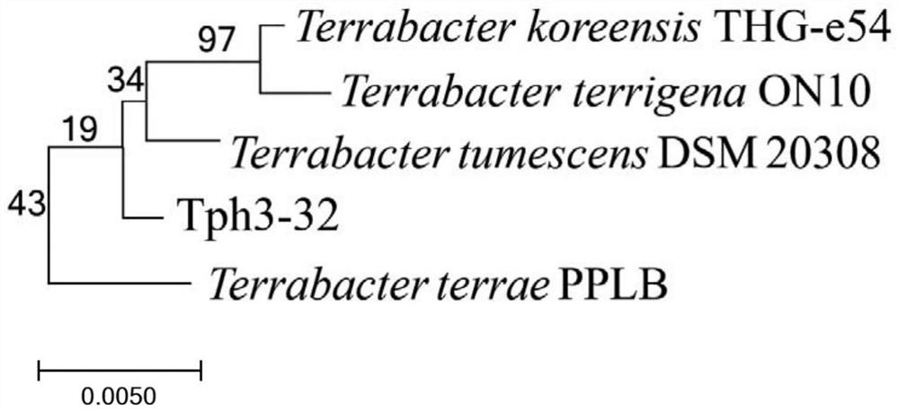 A Chromium-resistant Petroleum Hydrocarbon Degrading Strain tph3-32 and Its Application