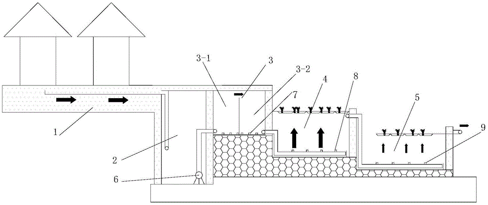 Rural domestic sewage combined type ecological treatment system and treatment method, and application thereof