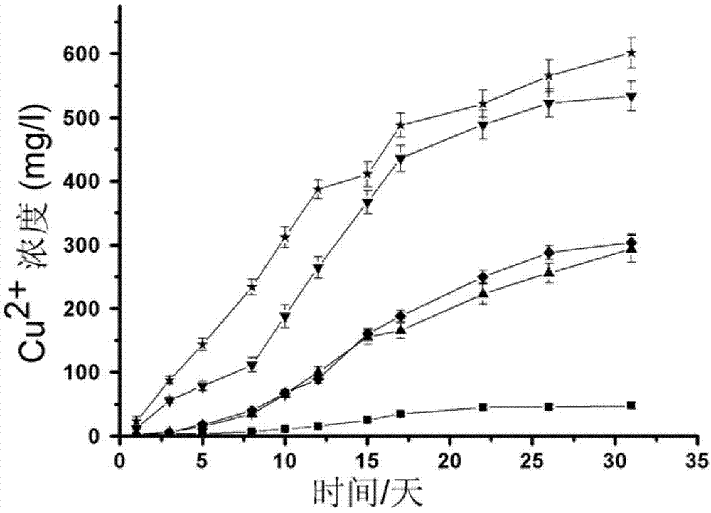 Eosino-thiobacillus and application thereof to copper pyrites leaching