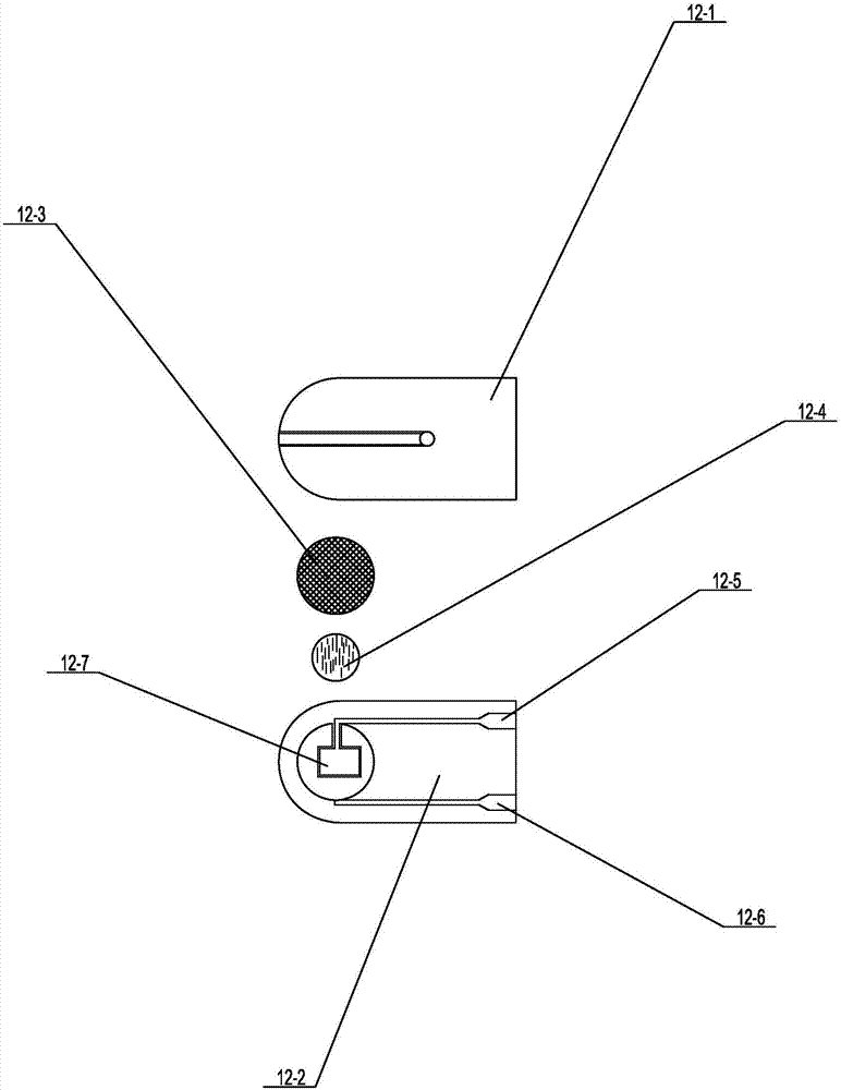 Rapid flora checking device for teaching