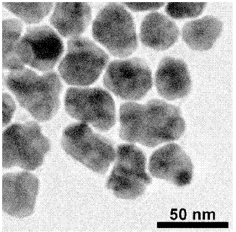 Method for preparing multi-metal nanoparticles by one-step coreduction