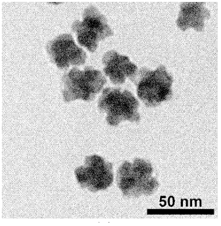 Method for preparing multi-metal nanoparticles by one-step coreduction