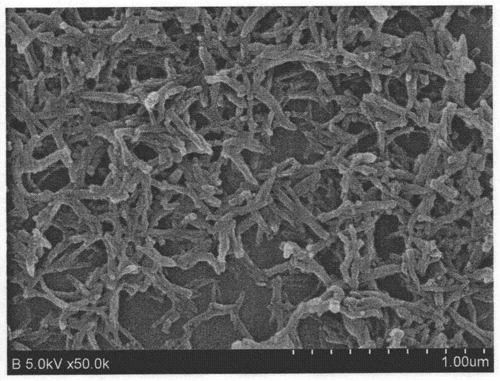 A kind of preparation device and method of polyaniline nanofiber