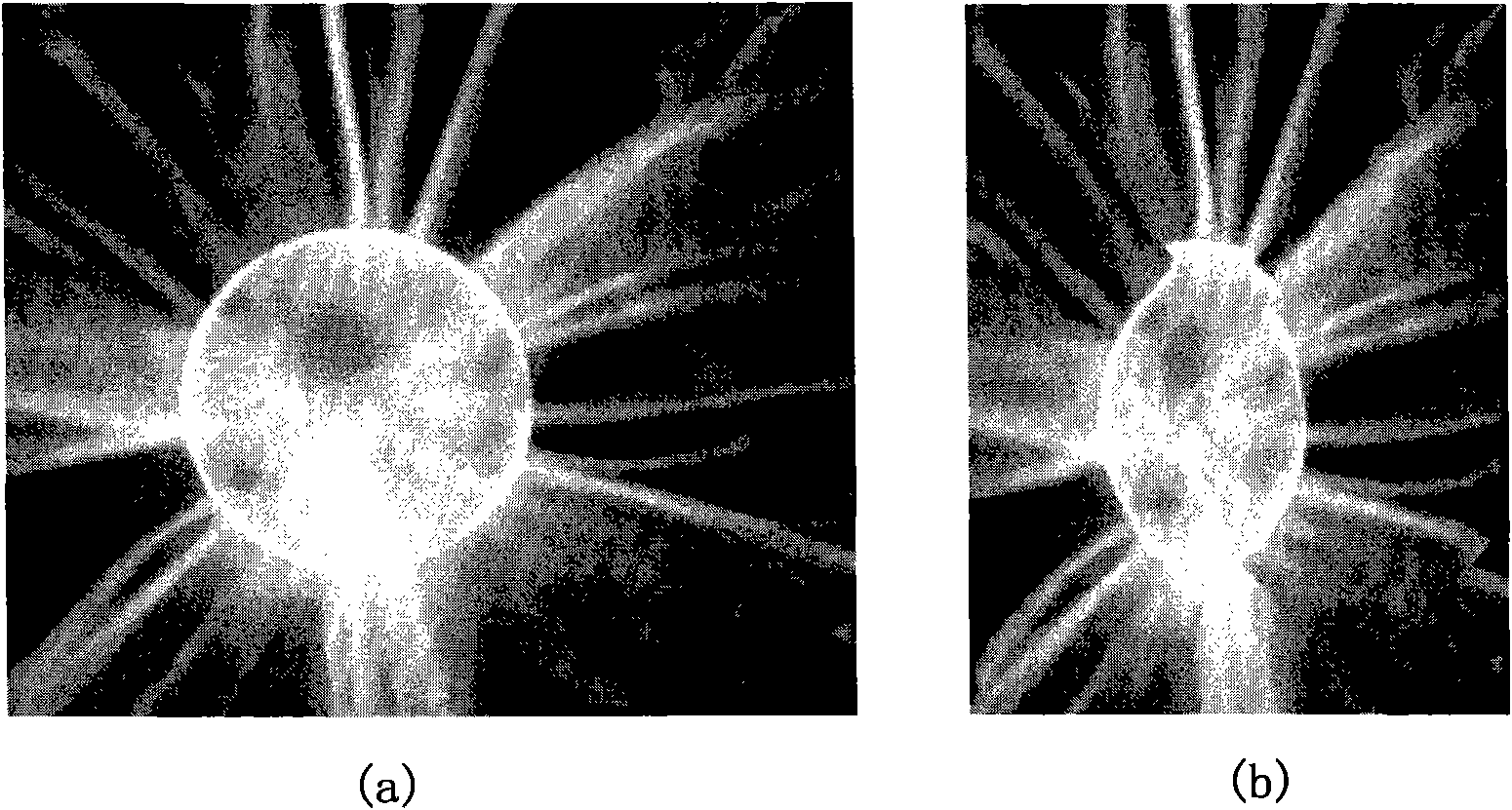 Image scaling method for keeping visual quality of sensitive target