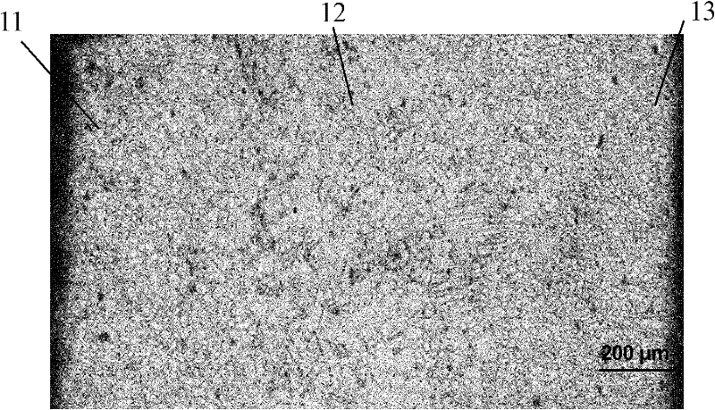 Method for preparing magnesium alloy plate strip with grain size in symmetric gradient distribution along plate thickness direction