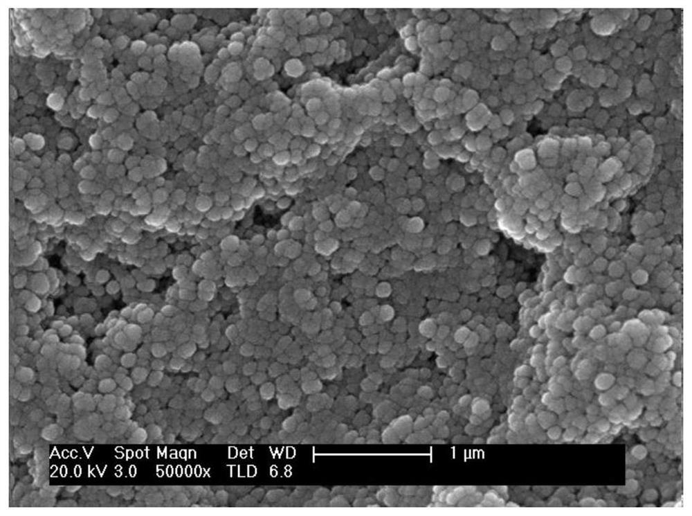 A kind of non-toxic anti-corrosion anti-mildew nano-coating and its preparation and application method