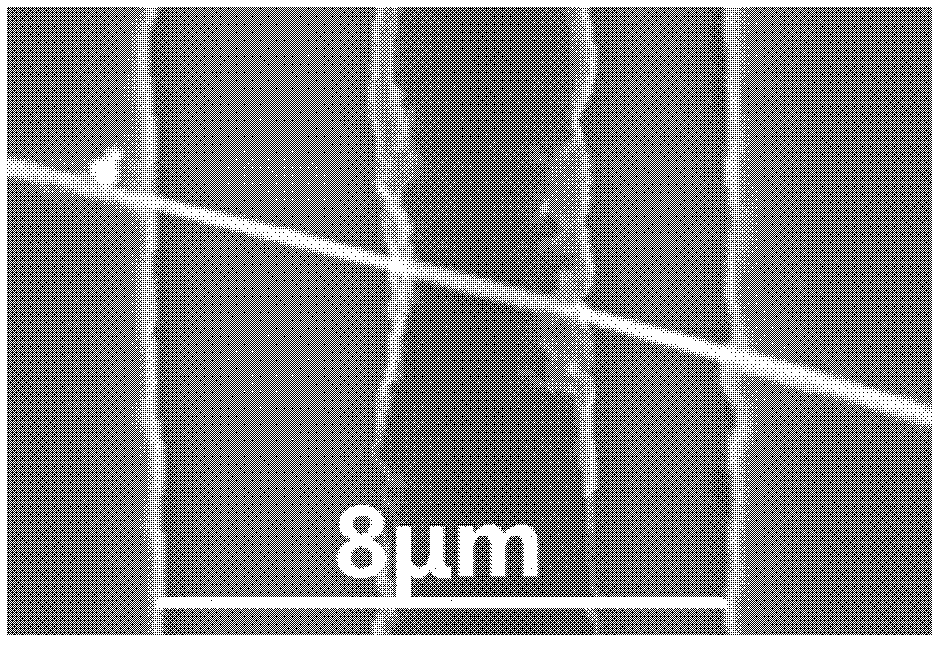 Preparation method of nano solar battery based on CuS quasi one-dimensional nanostructure