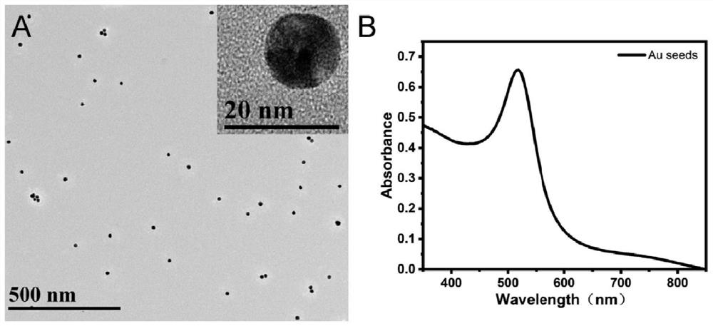 Method for carrying out Raman-fluorescence dual-mode detection on calcium ions based on dual-mode nano probe