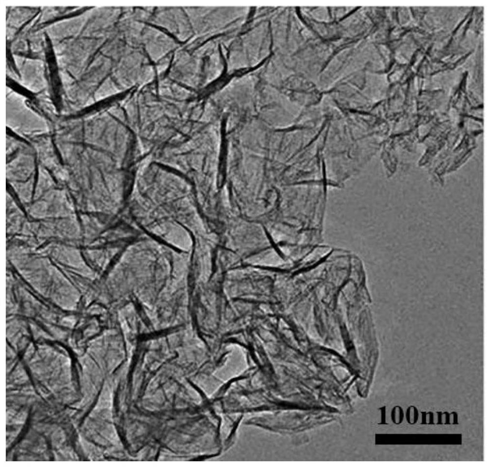 Method for preparing nitrogen-doped nano lamellar or Fe2O3 nanoparticle-loaded graphite structure