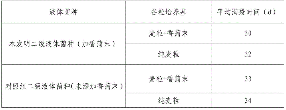 Method for using cattail crumbs to cultivate stropharia rugoso-annulata