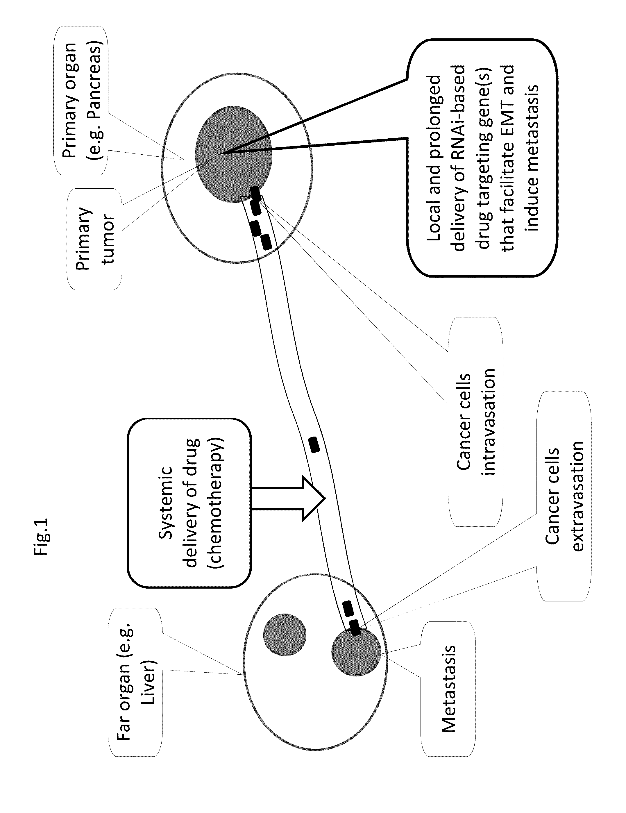 METHODS AND COMPOSITIONS FOR RNAi-BASED CANCER TREATMENT