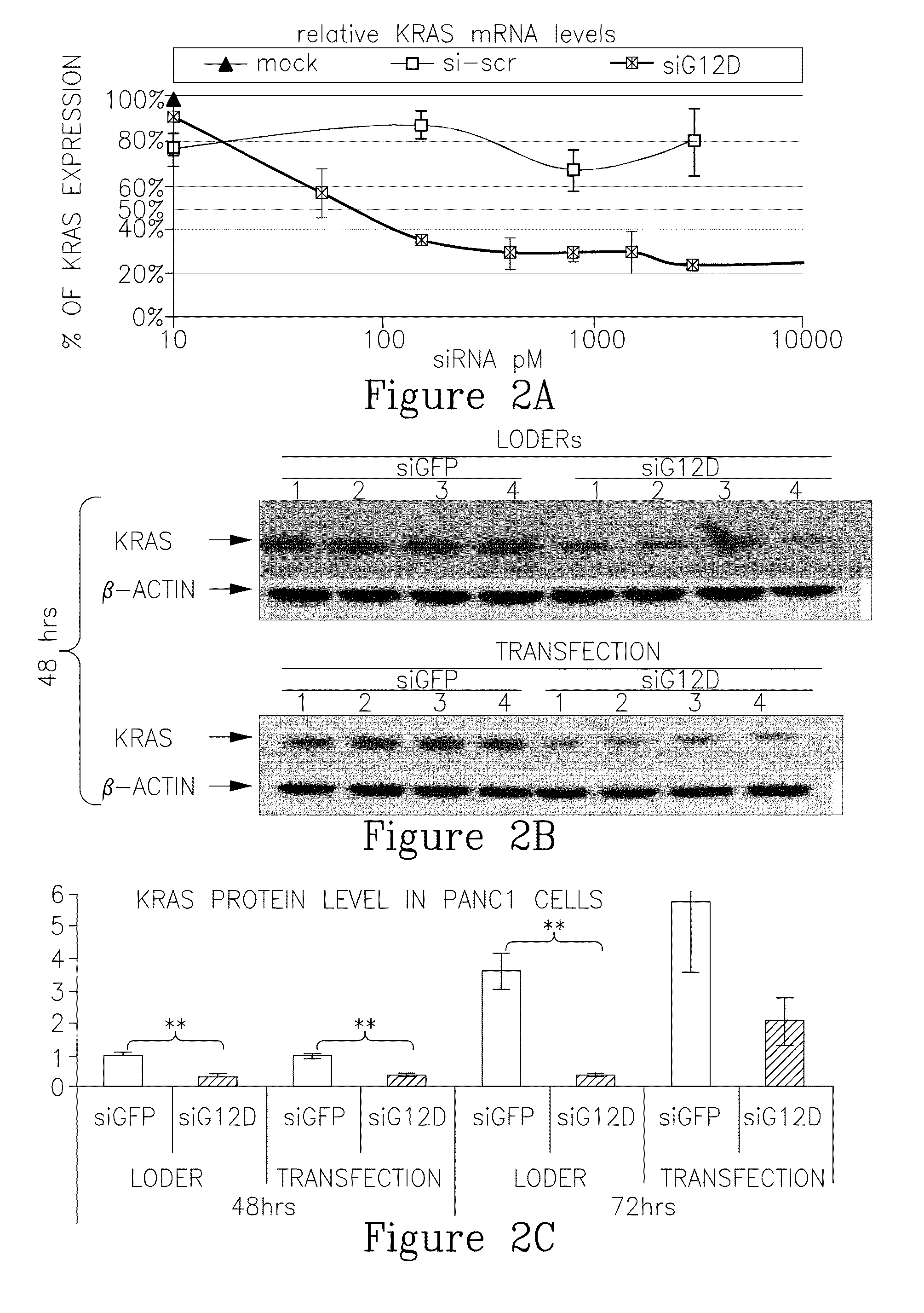 METHODS AND COMPOSITIONS FOR RNAi-BASED CANCER TREATMENT