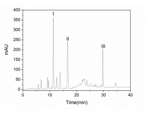 Separation purification preparation process for activated monomers of celery seeds