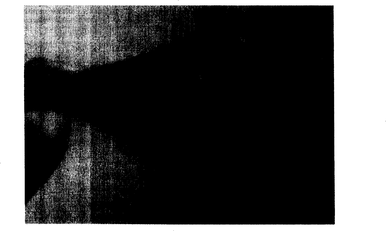 Potentiator for radiation therapy comprising pyridine derivative as active ingredient