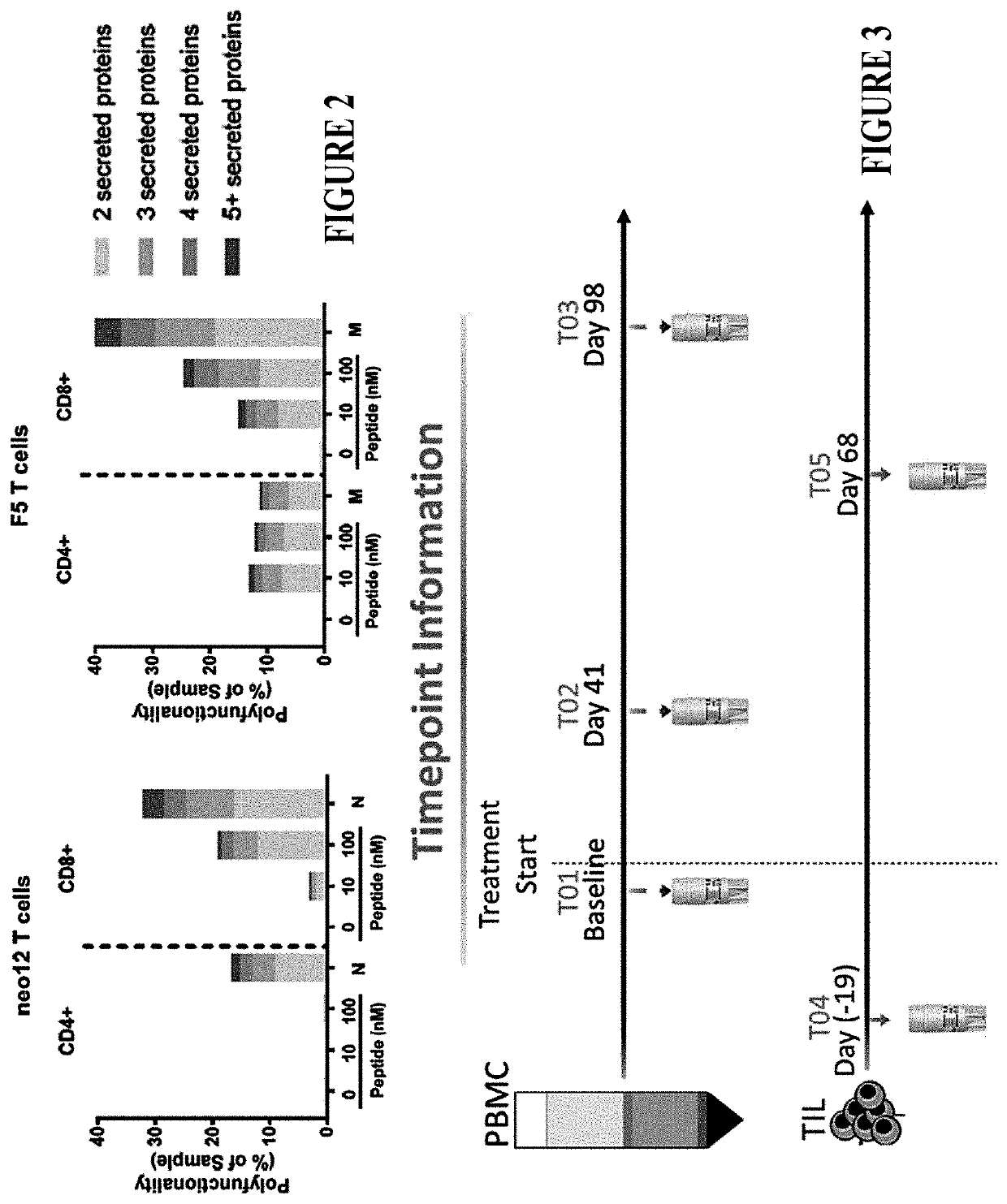 Methods of treatment using a genetically modified autologous t cell immunotherapy