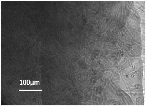 A preparation process of composite laminates with carbon nanotubes aligned