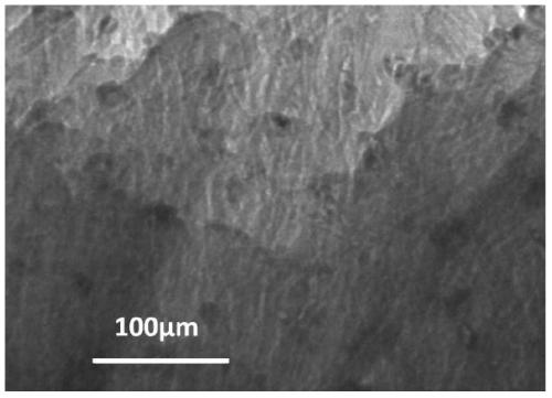 A preparation process of composite laminates with carbon nanotubes aligned