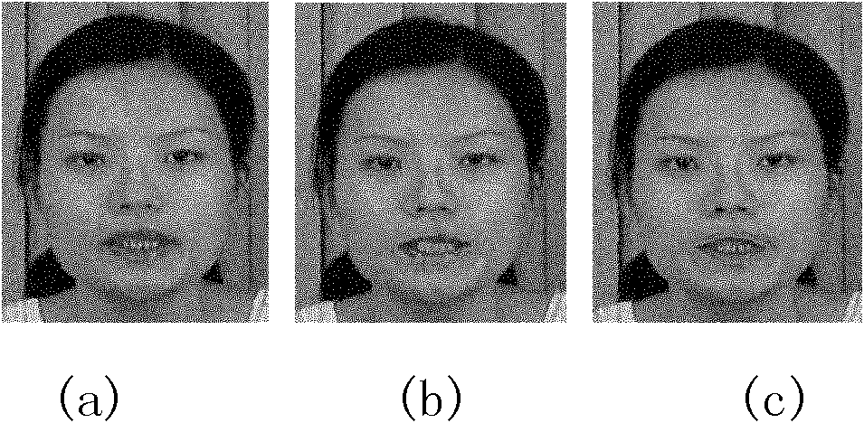 Method for positioning lip region in color face image