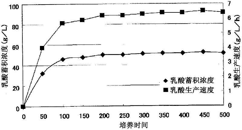 Production method of lactic acid and polylactic acid