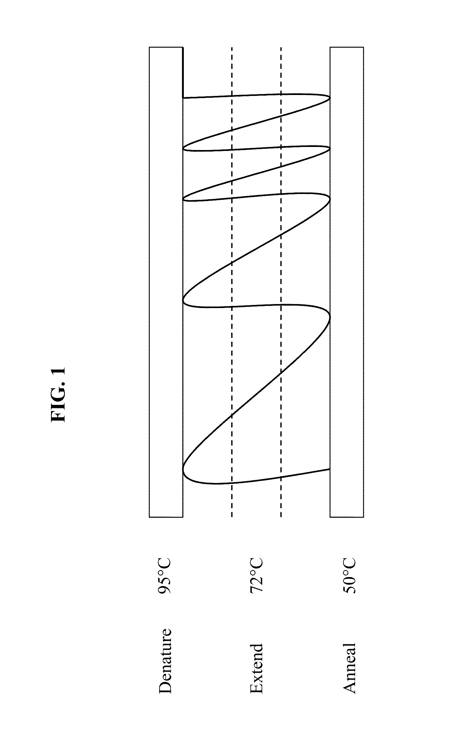 Channels with cross-sectional thermal gradients