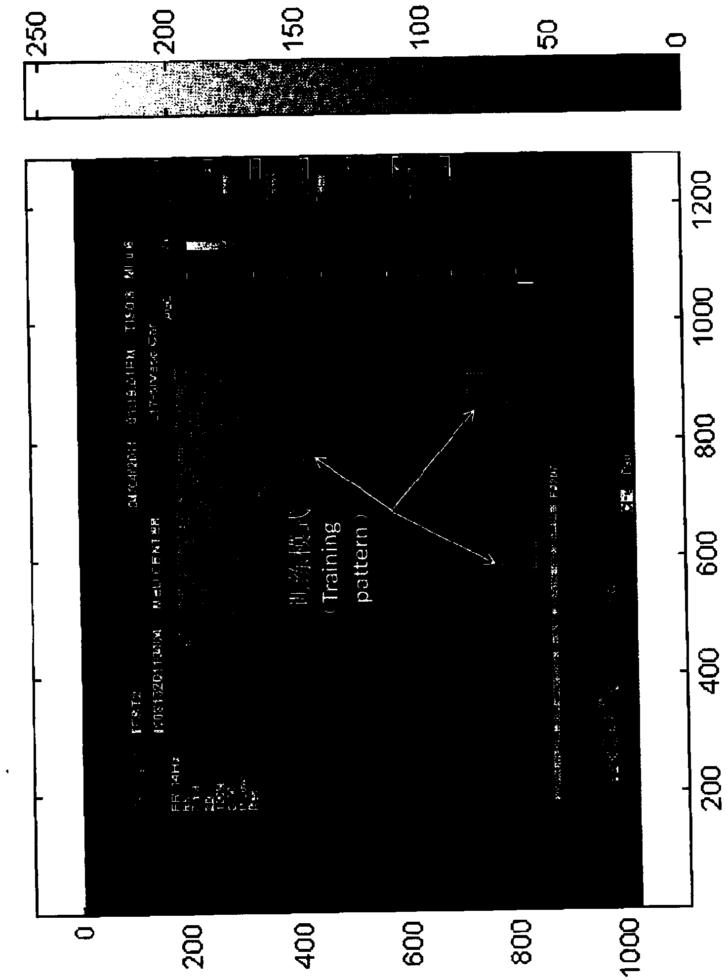 A method and system of characterization of carotid plaque