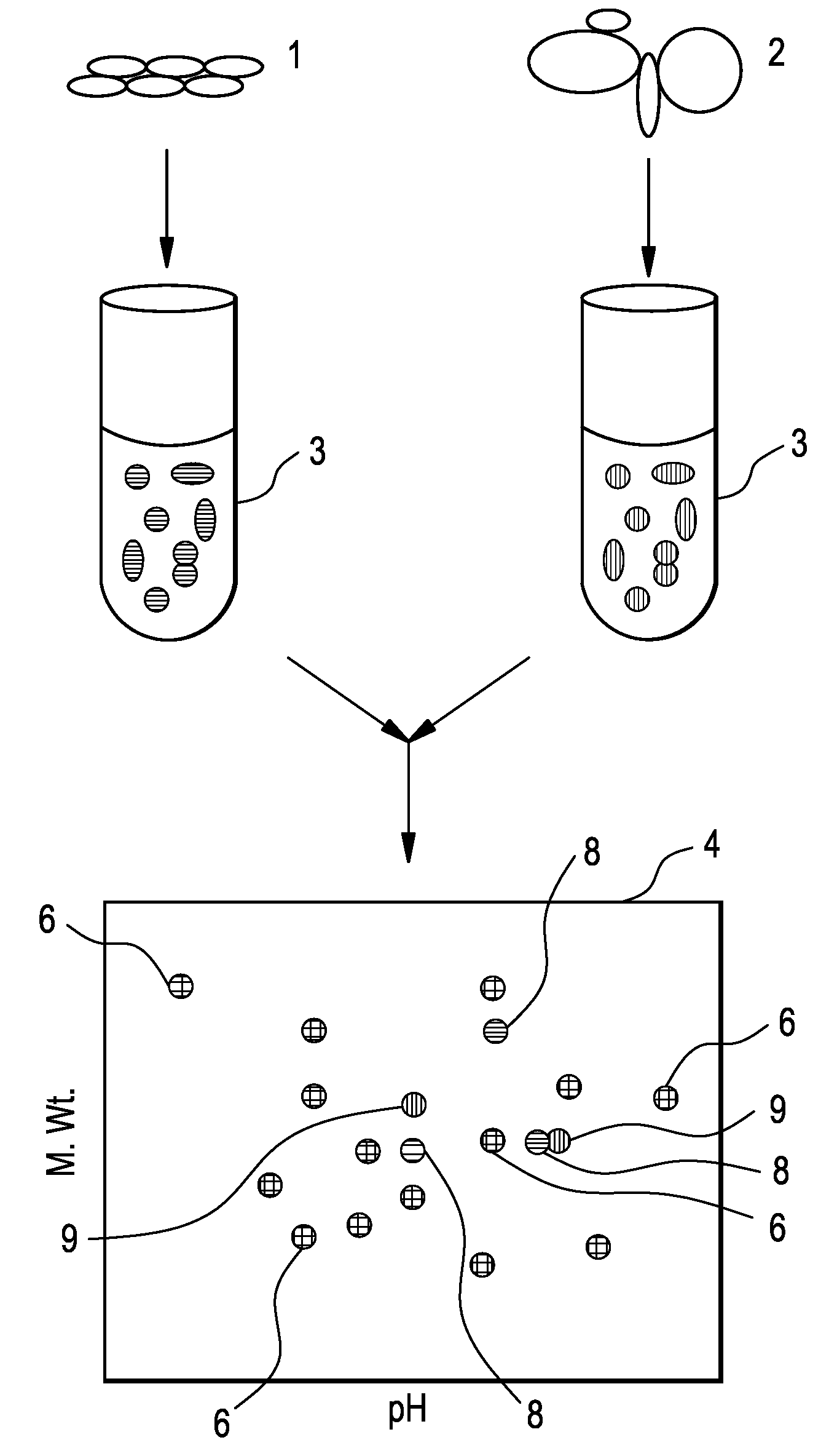 Method of analysing cell samples, by creating and analysing a resultant image
