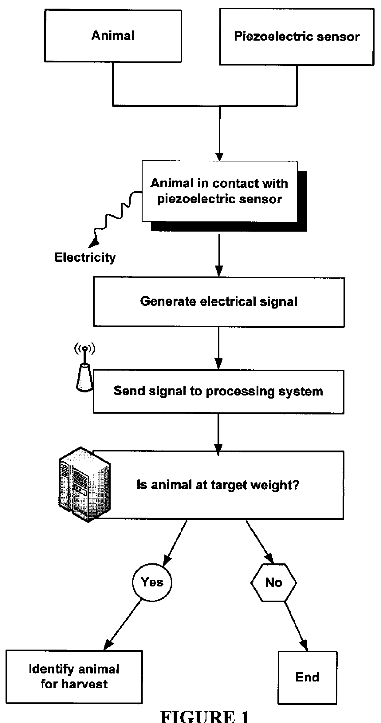 Animal weight monitoring system