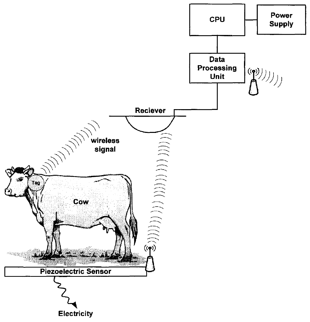 Animal weight monitoring system