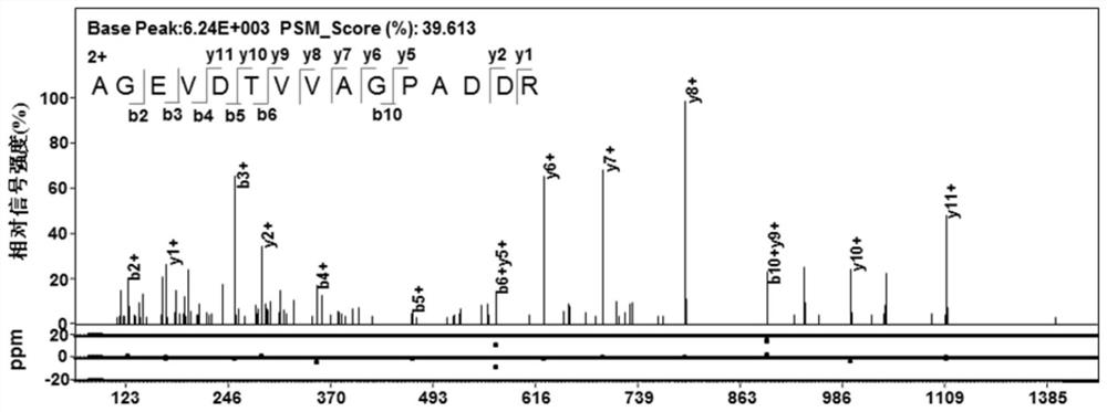 Mycobacterium tuberculosis h37rv coding gene and its application