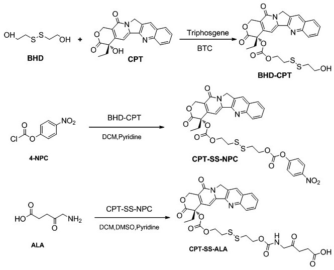 Preparation and application of 5-aminolevulinic acid-camptothecin micromolecular prodrug