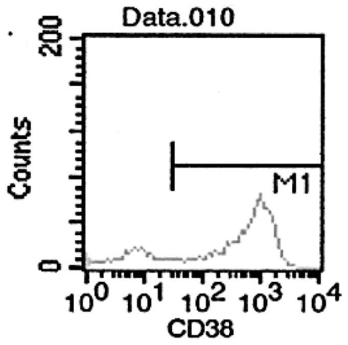 A method for expanding placenta-derived hematopoietic stem cells