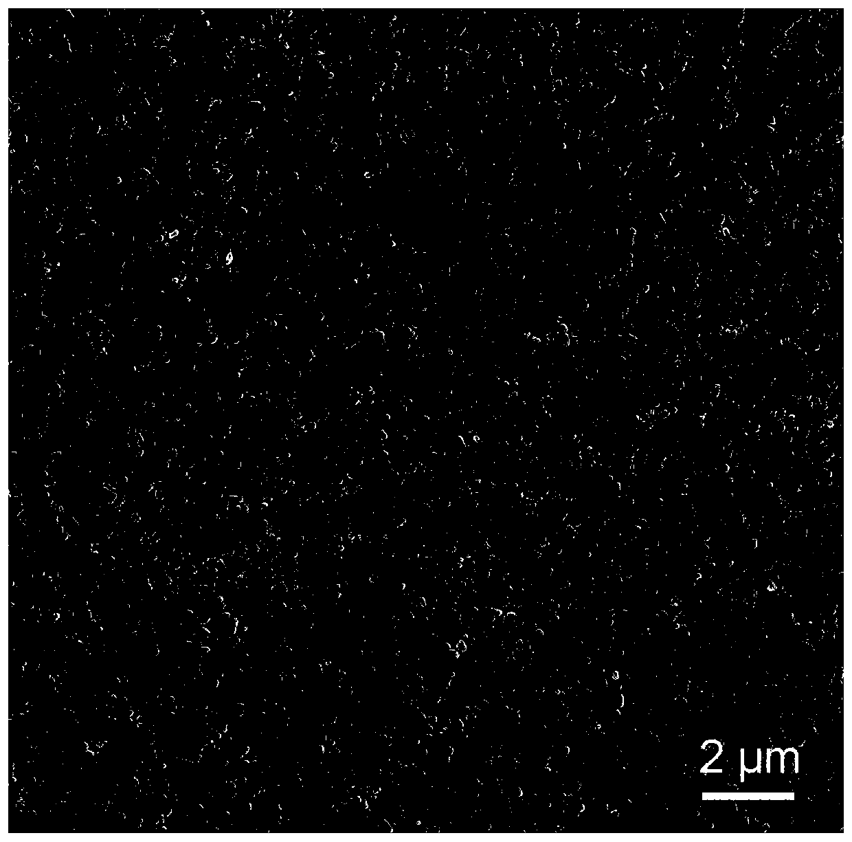 Method for driving self-assembly coating to be rapidly prepared based on evaporation induced tension gradient