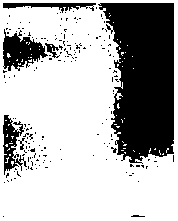 Method for manufacturing stereo inorganic electroluminescent device