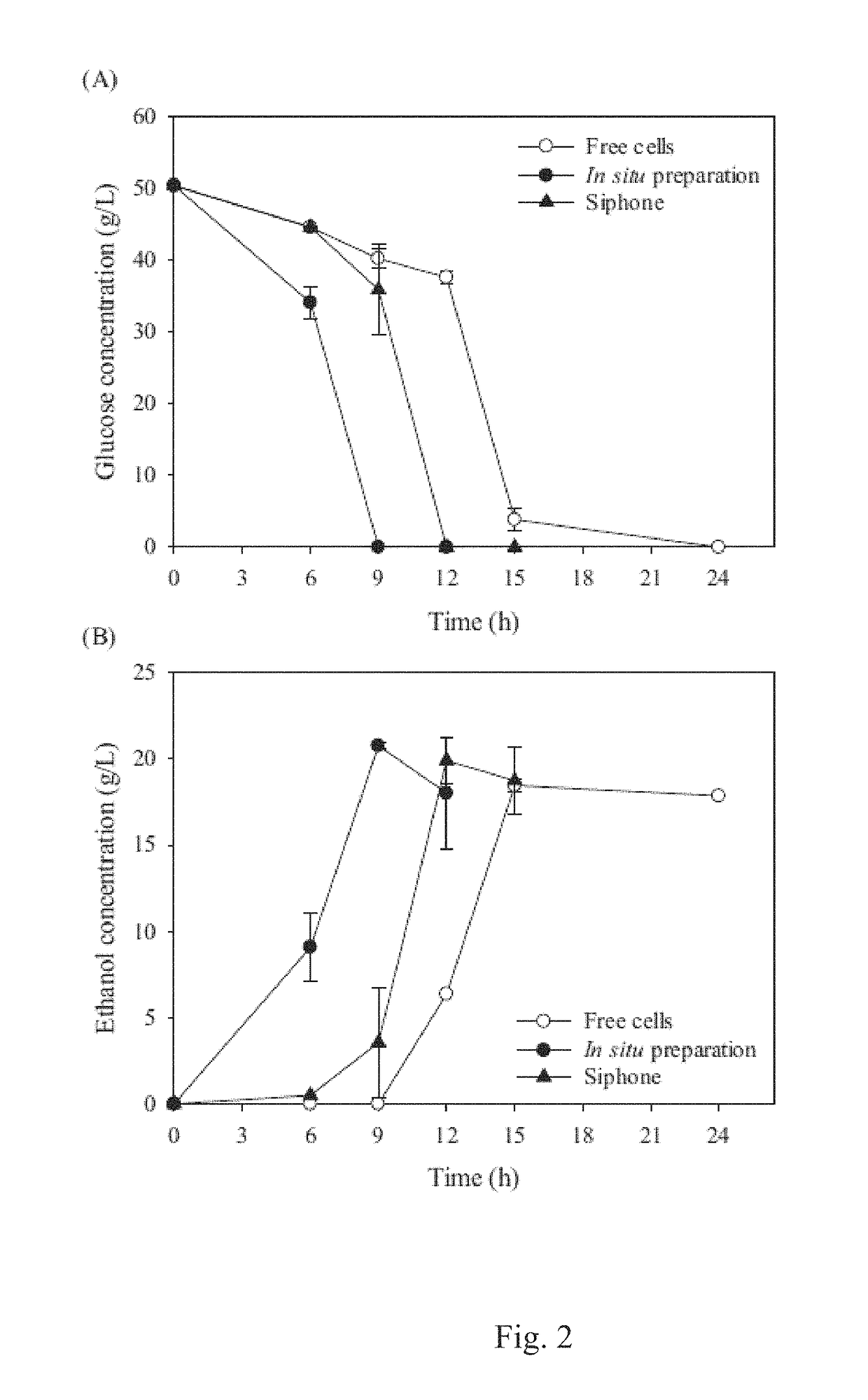 Poly-l-lactic acid (PLLA) microtube array membrane-immobilized yeast cells for bioethanol fermentation