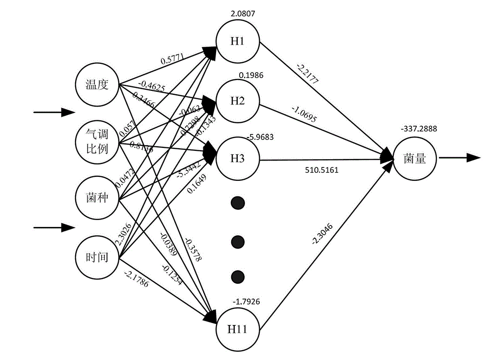 Prediction method for growth of putrefying bacteria in modified atmosphere packaged fresh chilled beef