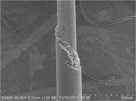 Solid-phase micro-extraction coating prepared on basis of polydopamine modified stainless steel wires and preparation method and application thereof