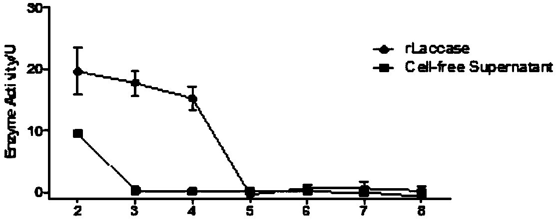 Multi-copper oxidase, coding gene thereof, recombinant vector, recombinant strain and application